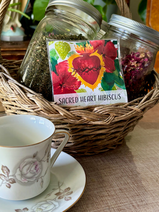 Sacred Heart Hibiscus