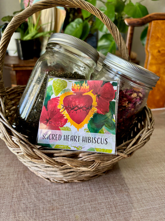 Sacred Heart Hibiscus