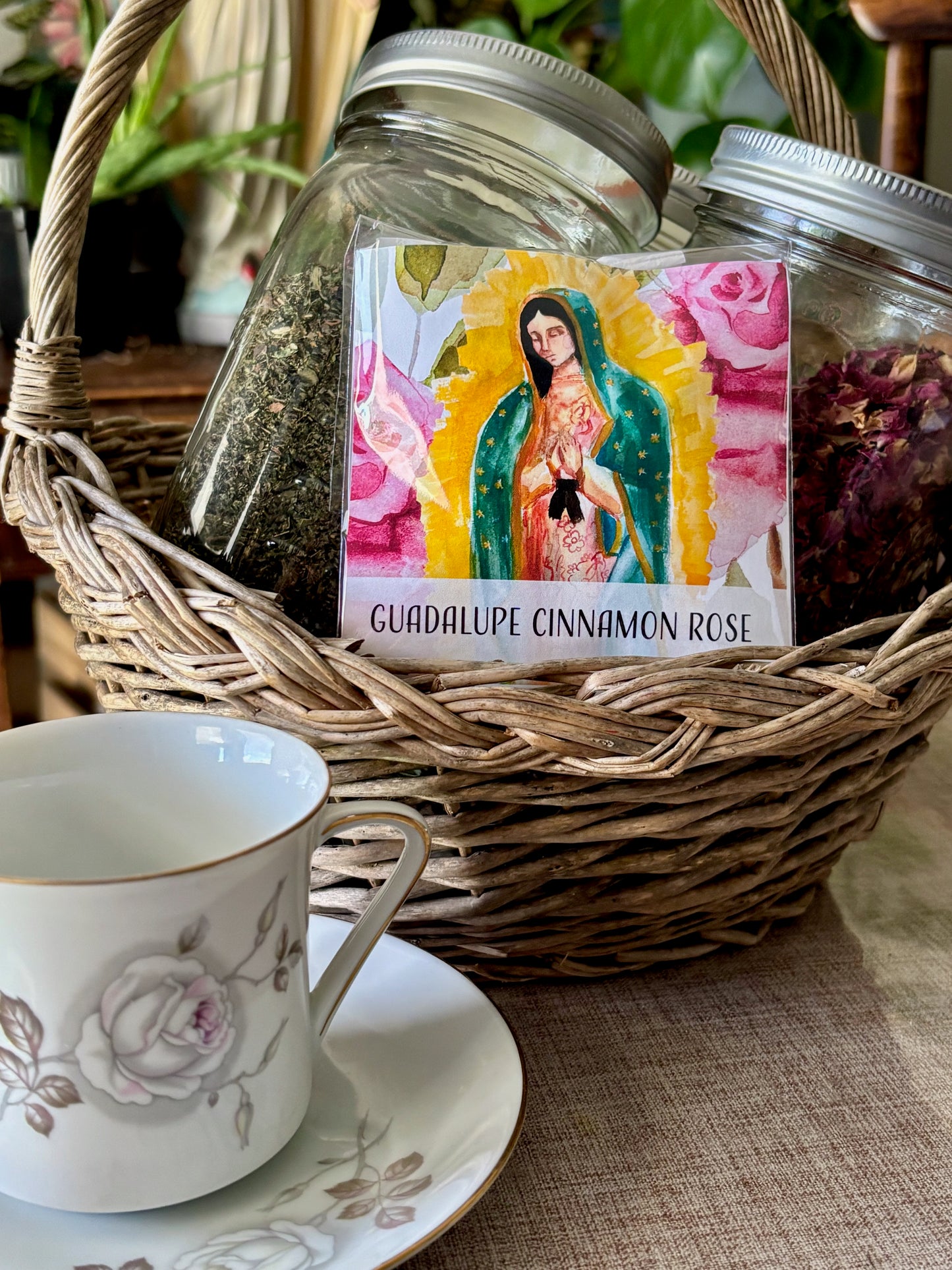 Guadalupe Cinnamon Rose