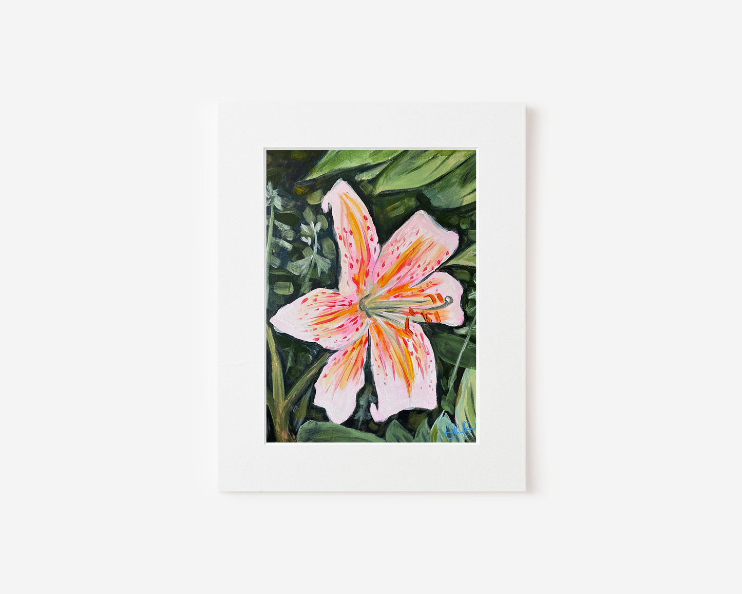 Pink Lily Close Up in Acrylic  5x7 Matted Print