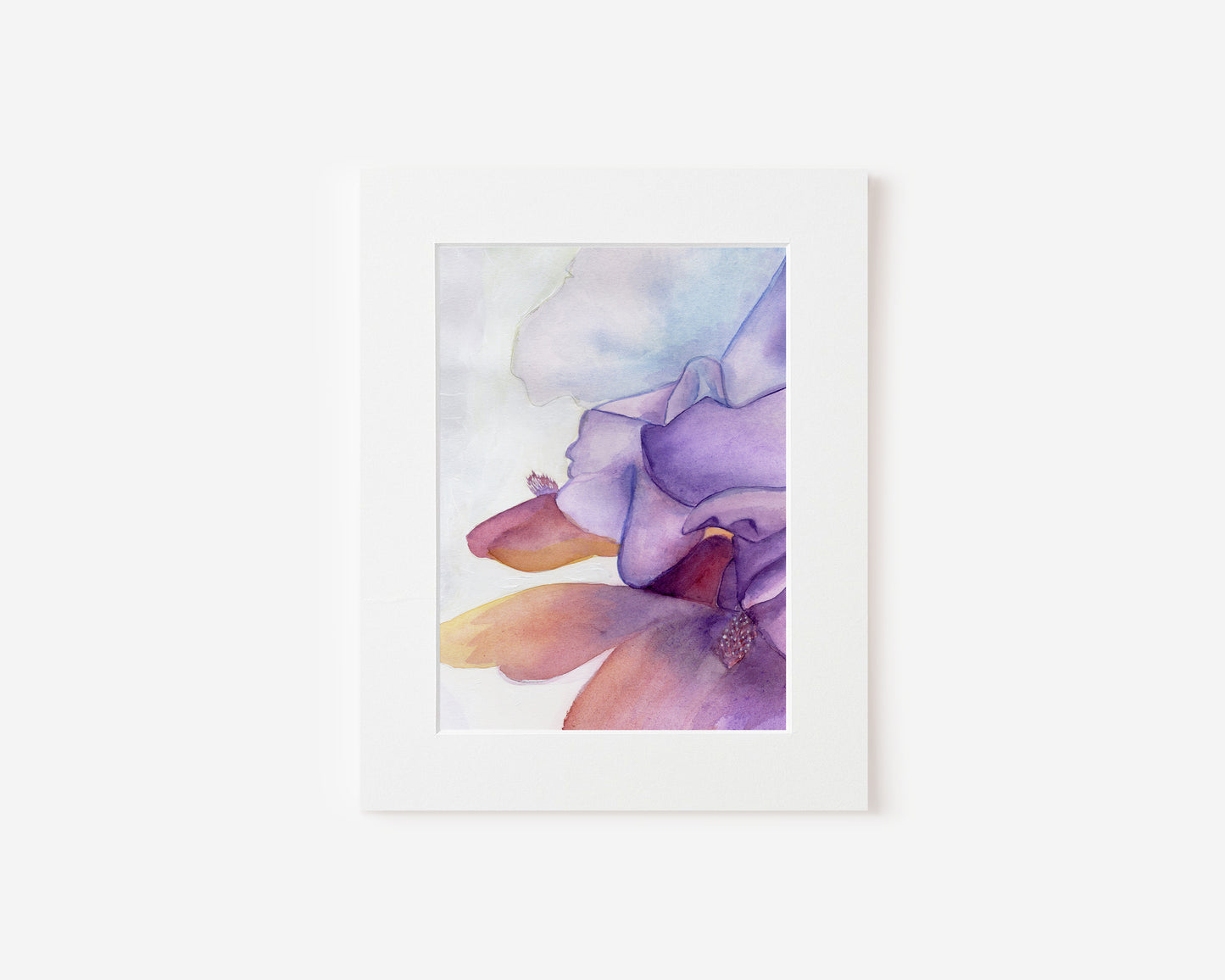 Painting of a Purple and Orange Iris Flower Close Up 5x7 Matted Print