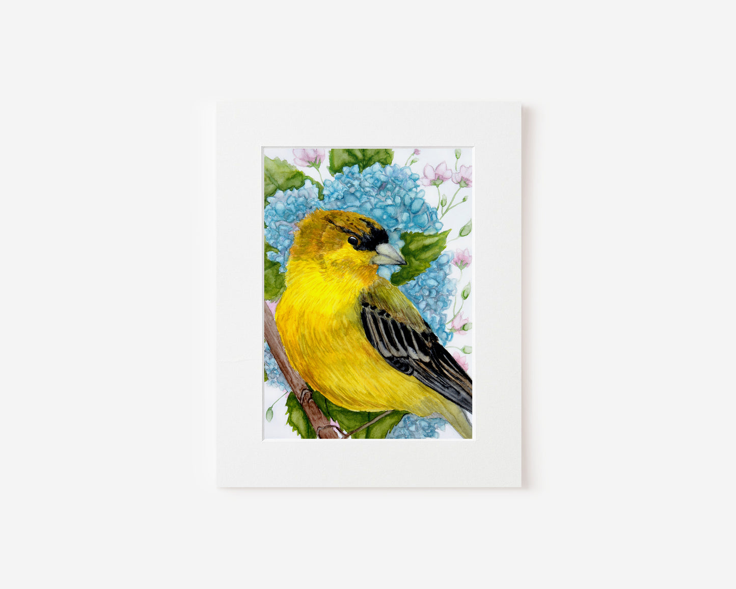 Lesser Goldfinch Bird Portrait Painting in Watercolor 5x7 Matted Print